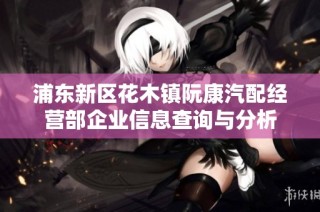 浦东新区花木镇阮康汽配经营部企业信息查询与分析
