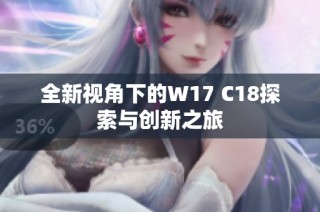 全新视角下的W17 C18探索与创新之旅