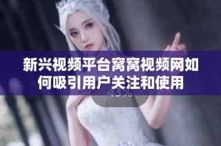 新兴视频平台窝窝视频网如何吸引用户关注和使用