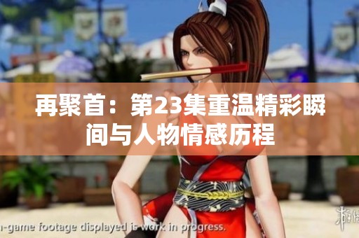 再聚首：第23集重温精彩瞬间与人物情感历程
