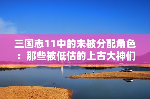 三国志11中的未被分配角色：那些被低估的上古大神们的真实实力揭秘