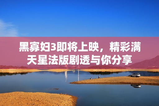 黑寡妇3即将上映，精彩满天星法版剧透与你分享