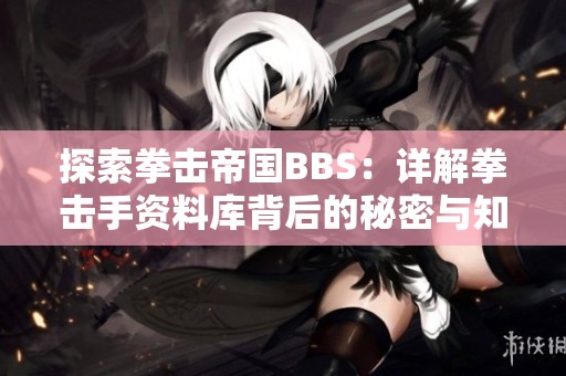 探索拳击帝国BBS：详解拳击手资料库背后的秘密与知识课堂