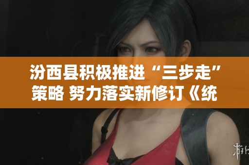 汾西县积极推进“三步走”策略 努力落实新修订《统计法》精神